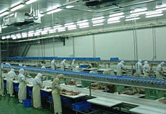 N-9 Cutting And Deboning Line