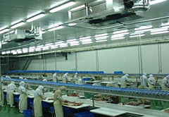 Y-9 Cutting And Deboning Line