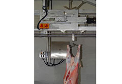 Y-15 Carcass Processing Auto-conveying Line