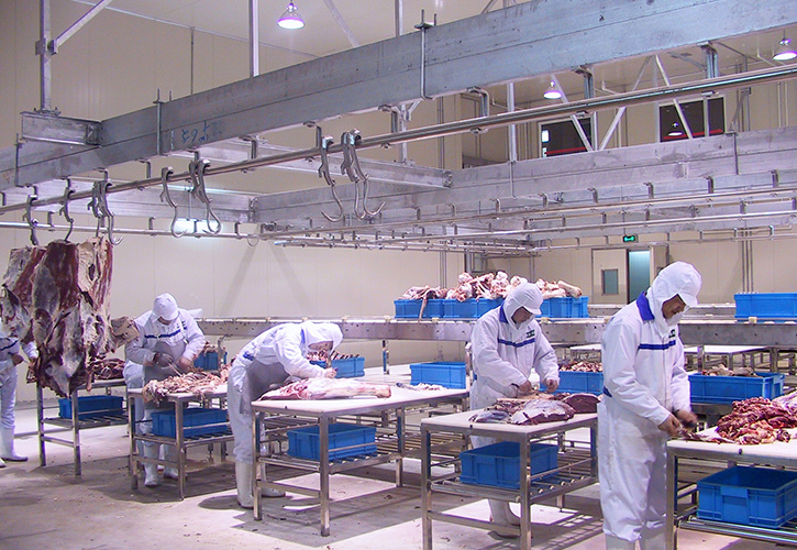 Cutting And Deboning Line